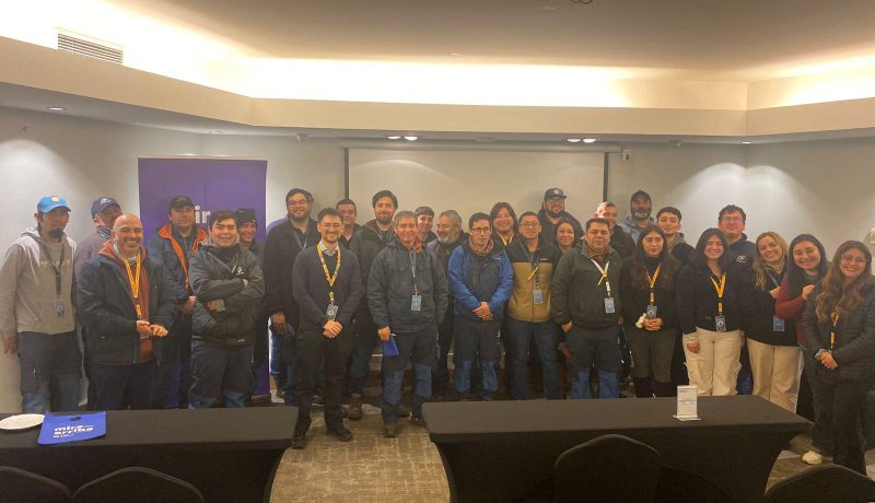 saesa-impulsa-seguridad-electrica-en-puerto-varas