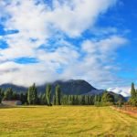 tierra-joven-indap-jovenes-pueden-comprar-su-primer-terreno-rural
