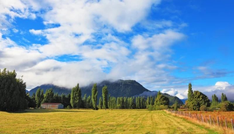 tierra-joven-indap-jovenes-pueden-comprar-su-primer-terreno-rural