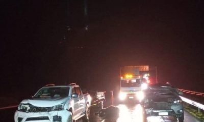 vacunos-en-ruta-5-de-purranque-colisiones-multiples-y-tragico-saldo