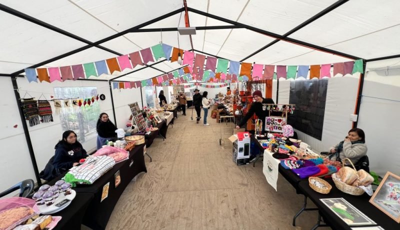 WhatsApp-Image-2025-06-30-at-1.18.49-PM-1-1024x768