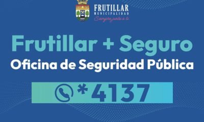 WhatsApp Image 2025-09-05 at 14.54.07