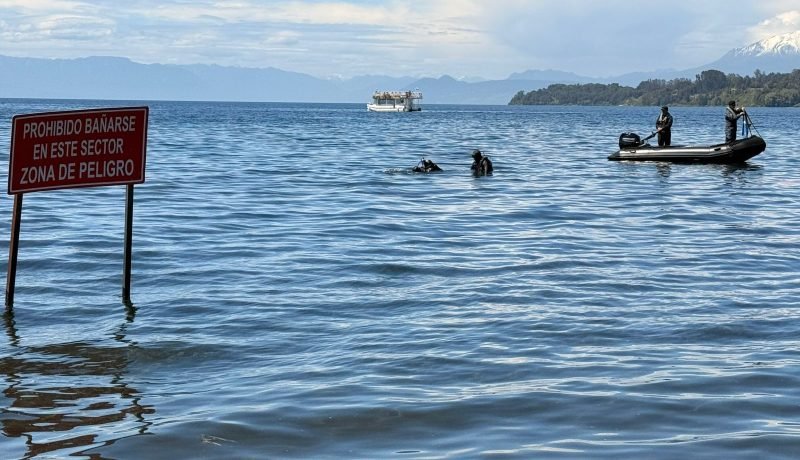 WhatsApp Image 2025-10-29 at 16.00.52