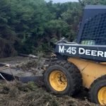 Crean cortafuegos preventivos en Alerce para reducir riesgo de incendios