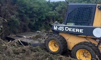 Crean cortafuegos preventivos en Alerce para reducir riesgo de incendios