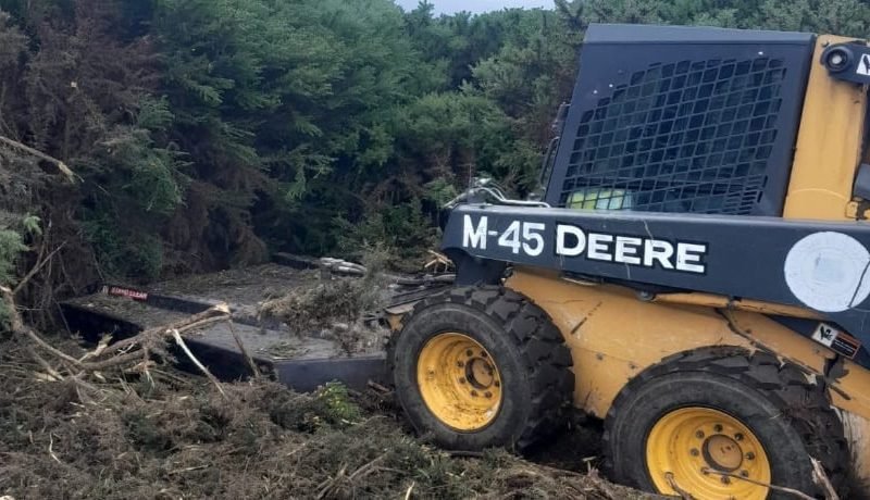 Crean cortafuegos preventivos en Alerce para reducir riesgo de incendios