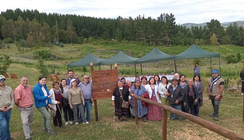 Arborización Intercultural: CONAF y SSO Fortalecen Hospitales de Osorno