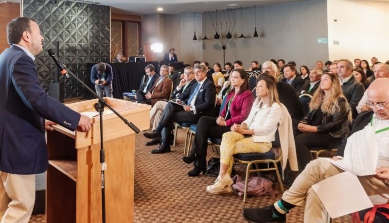 Puerto Varas será sede de la primera cumbre nacional sobre relaciones comunitarias