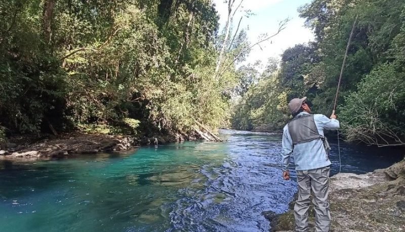 temporada-de-pesca-en-los-lagos-reglamento-y-conservacion-2025