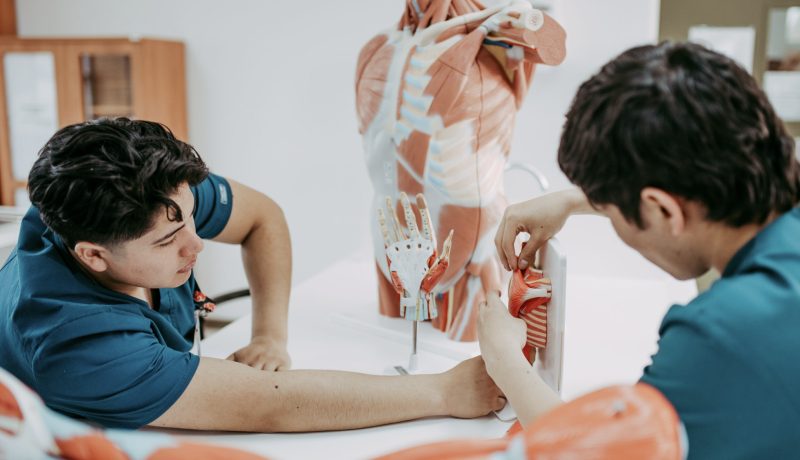 ULagos Lanza Medicina: Formación Médica Pública en Los Lagos