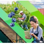 prochile-impulsa-exportaciones-chilenas-region-de-los-lagos-protagonista-en-enexpro