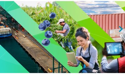 prochile-impulsa-exportaciones-chilenas-region-de-los-lagos-protagonista-en-enexpro