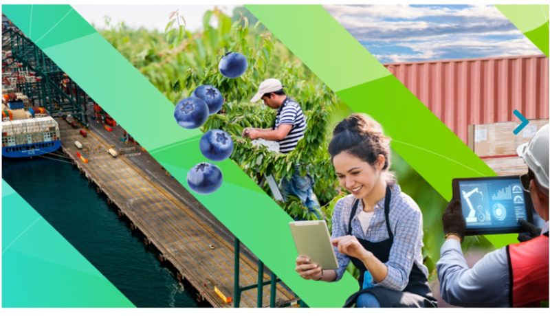prochile-impulsa-exportaciones-chilenas-region-de-los-lagos-protagonista-en-enexpro