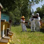 sag-llama-a-apicultores-protege-abejas-con-registro-sipec