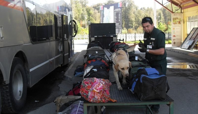 sag-refuerza-controles-fronterizos-por-fiestas-patrias-en-los-lagos