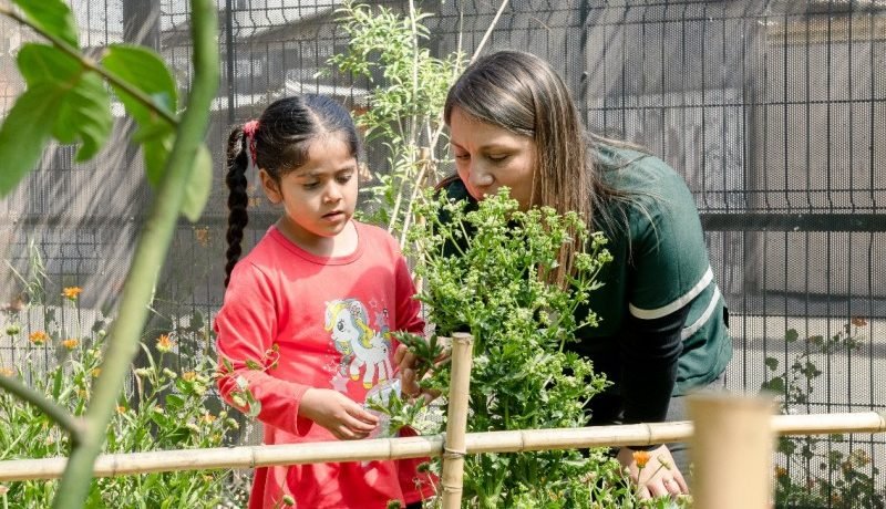 premio-mi-patio-es-el-mundo-2025-convocatoria-abierta-para-educacion-sostenible-infantil
