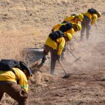 conaf-abre-postulaciones-buscan-brigadistas-forestales-para-temporada-2025-2026