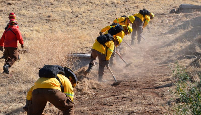 conaf-abre-postulaciones-buscan-brigadistas-forestales-para-temporada-2025-2026