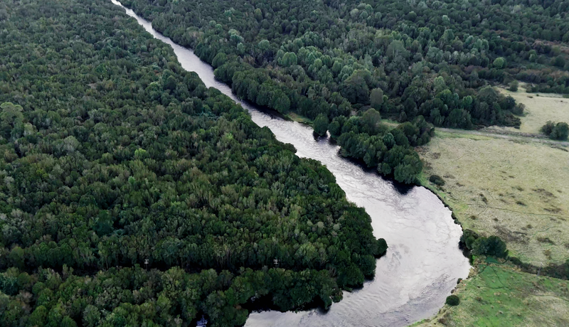 Consulta Pública: Futuro Hídrico del Río Maullín en Los Lagos