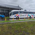 buses frutillar