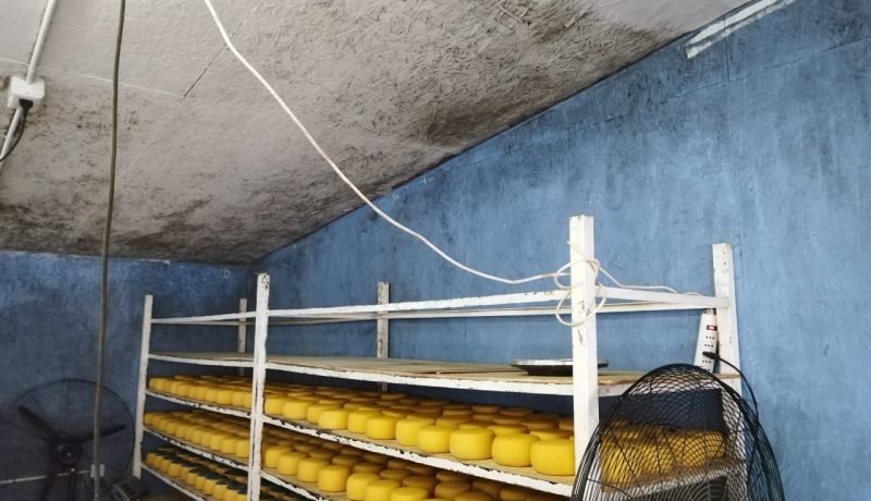 Seremi de Salud Detecta Producción Clandestina de Quesos en Purranque Seremi de Salud Detecta Producción Clandestina de Quesos en Purranque