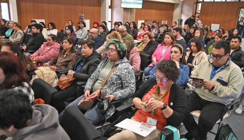 Mesa Regional de Cuidados Impulsa Apoyo a Cuidadoras en Los Lagos Mesa Regional de Cuidados Impulsa Apoyo a Cuidadoras en Los Lagos