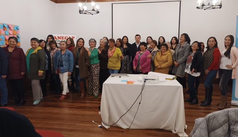 Salud de Trabajadoras de Casa Particular en Los Lagos: ISL Alerta por Riesgos Físicos y Estrés