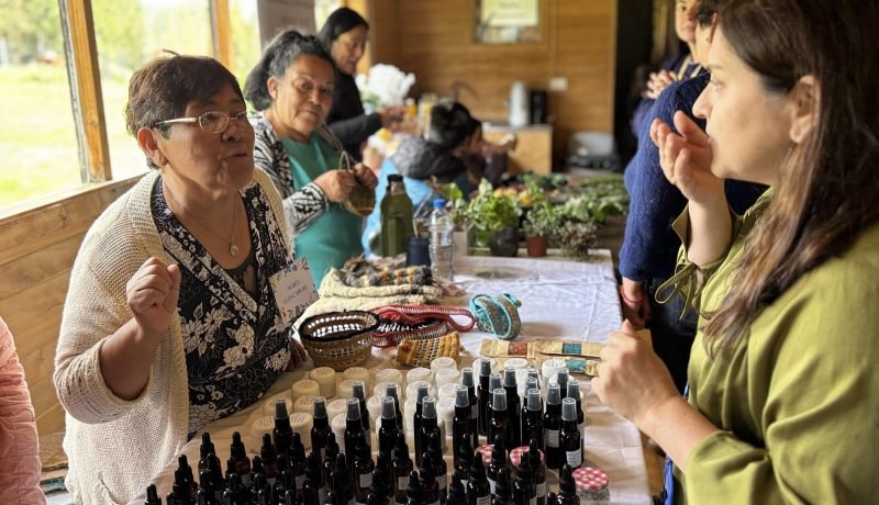 Cesfam Quillahue Fomenta Salud Comunitaria con Taller de Hierbas y Trafkintu