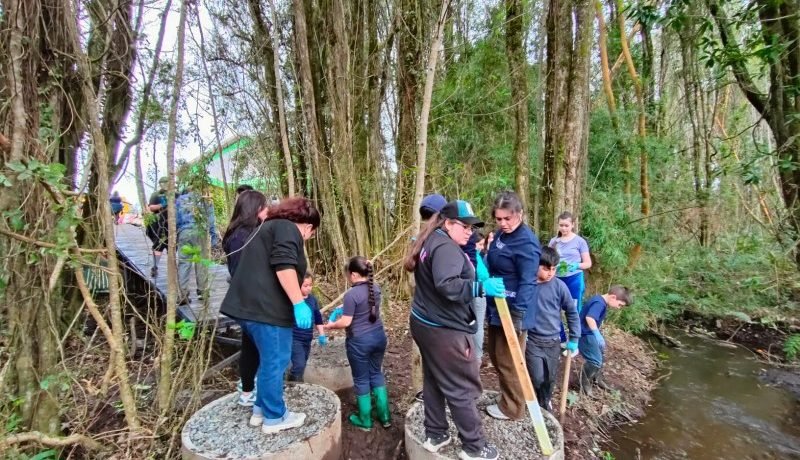 comunidad-de-llanquihue-transforma-estero-y-bosque-en-escuela-loncotoro