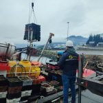 sernapesca-intensifica-fiscalizacion-pesquera-en-zona-los-lagos-aysen