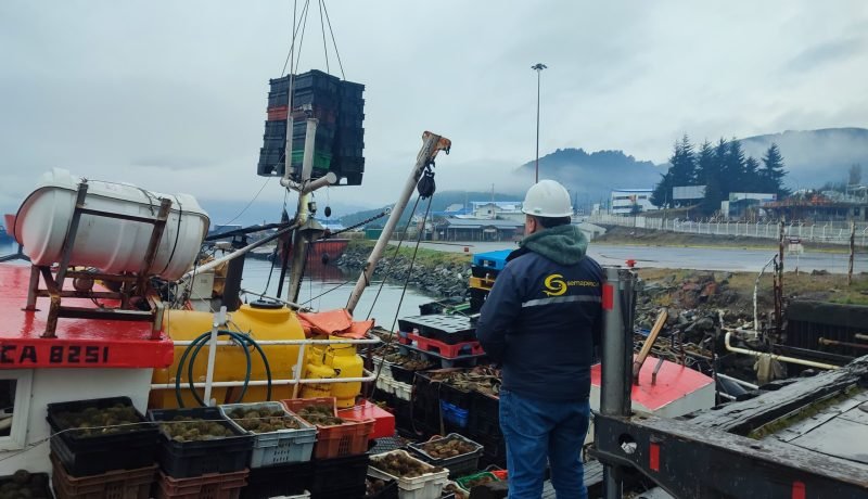 sernapesca-intensifica-fiscalizacion-pesquera-en-zona-los-lagos-aysen