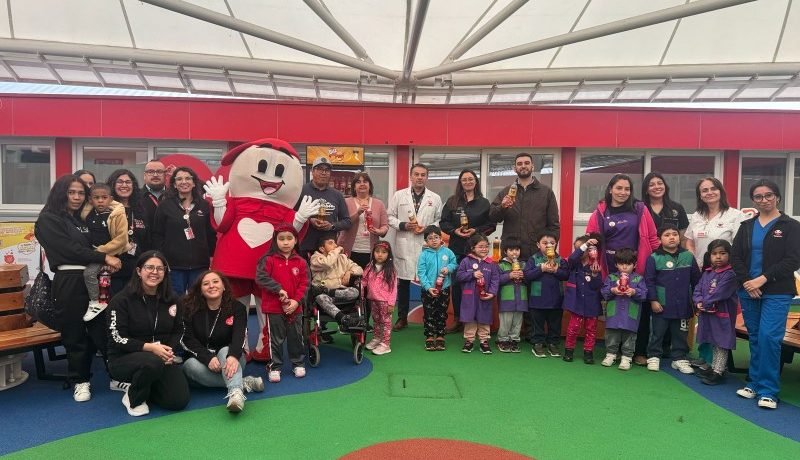 Campaña de Reciclaje por Teletón en Los Lagos: Buscan reunir 175 toneladas de plástico