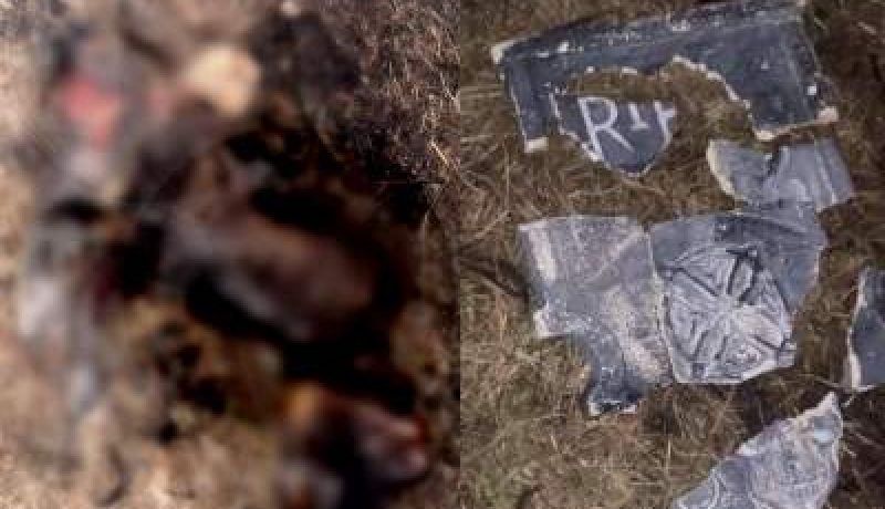 Conmoción en Puerto Montt por Perro Quemado en Presunto Ritual Satánico