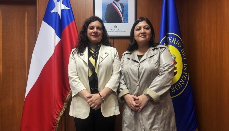 Medio Ambiente en Los Lagos: Tamara Puchi asume como nueva Seremi y define prioridades