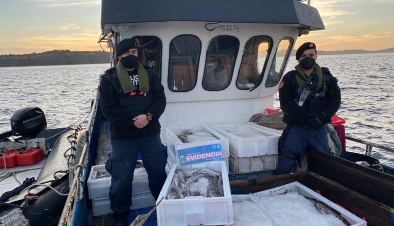 Armada de Chile incauta 8 toneladas de reineta en Quemchi Armada de Chile incauta 8 toneladas de reineta en Quemchi