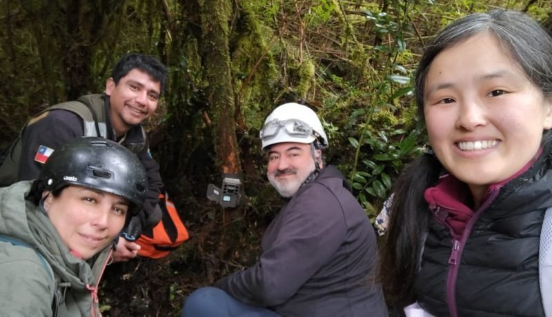 Monitoreo Comunitario de Fauna Impulsa Conservación en Alerce Andino Monitoreo Comunitario de Fauna Impulsa Conservación en Alerce Andino
