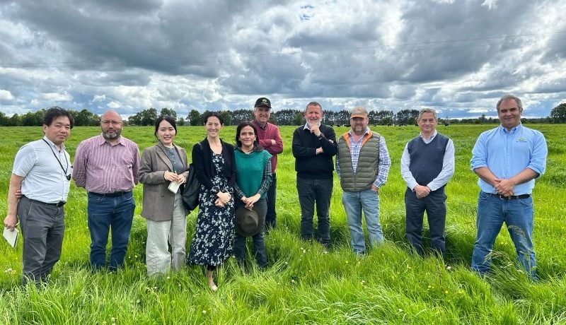 Delegación japonesa impulsa alianza energética y productiva en la Región de Los Lagos