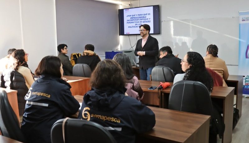 region-de-los-lagos-impulsa-formacion-en-equidad-inclusion-y-medioambiente