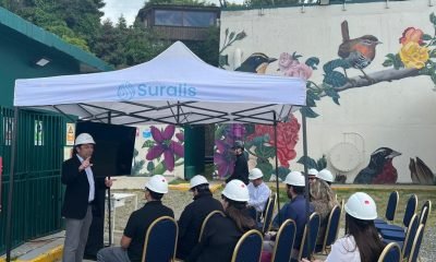 Monitoreo en Lago Llanquihue: Mejoras y Desafíos en la Calidad del Agua