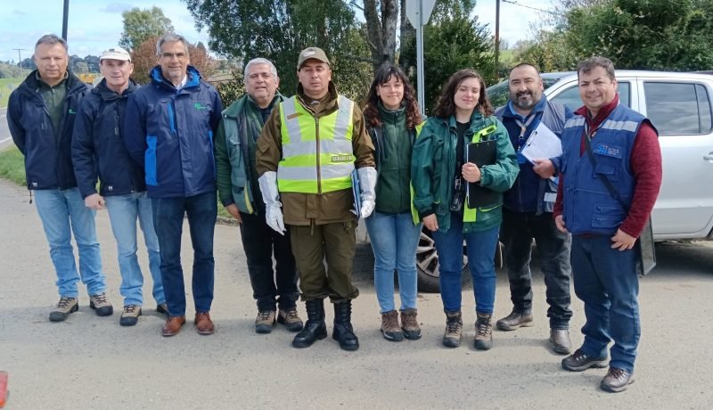 CONAF Fiscaliza Transporte de Madera Nativa en Los Lagos