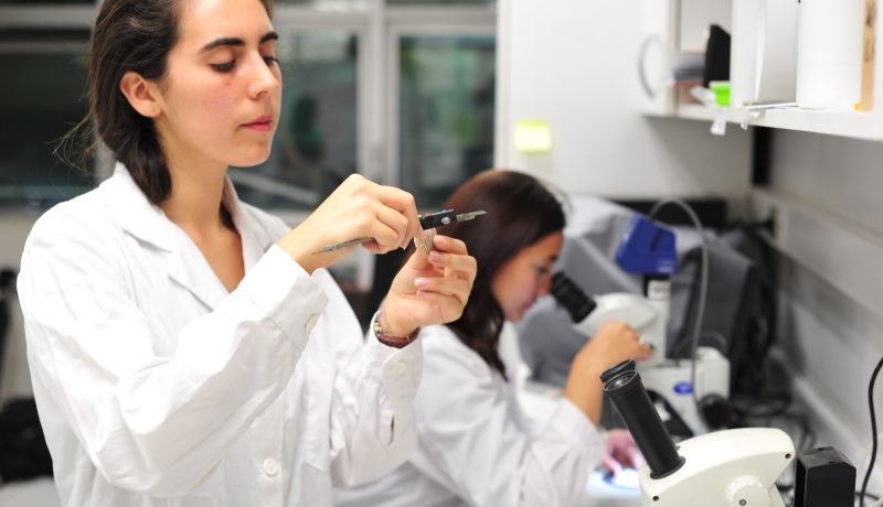 ust-impulsa-ciencia-abierta-con-proyecto-anid-acceso-al-conocimiento-cientifico