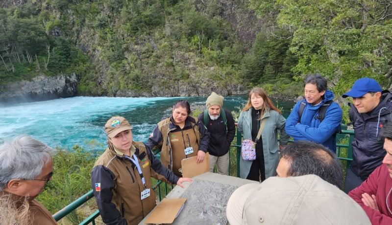 Parque Nacional Vicente Pérez Rosales: Referente en Conservación Regional Parque Nacional Vicente Pérez Rosales: Referente en Conservación Regional