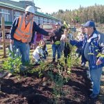 conaf-y-sso-impulsan-arborizacion-en-hospitales-interculturales-de-osorno