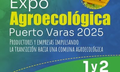 Puerto Varas: Primera Expo Agroecológica 2025 Impulsa Ruralidad y Sustentabilidad