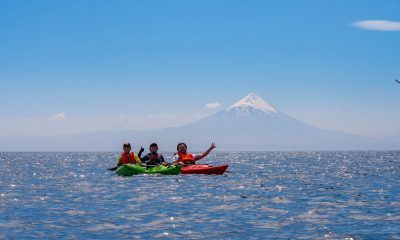 img_2060-1.jpg
