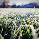img_2150-1.jpg