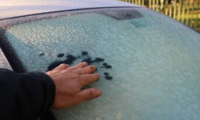 img_2516-1.jpg