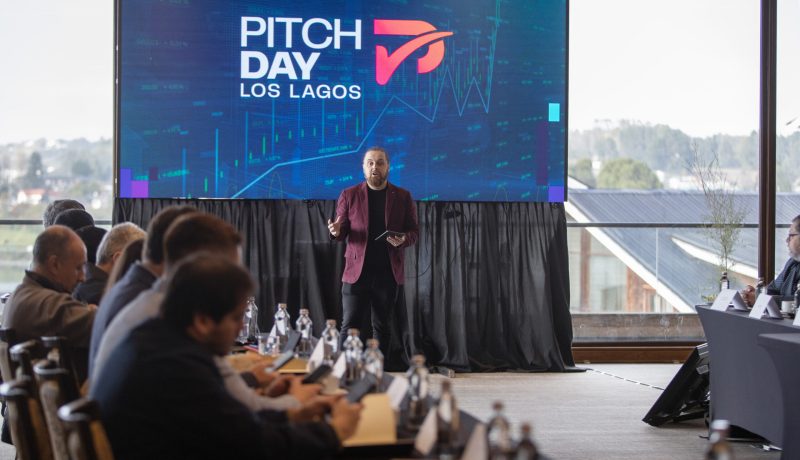 pitch-day-los-lagos