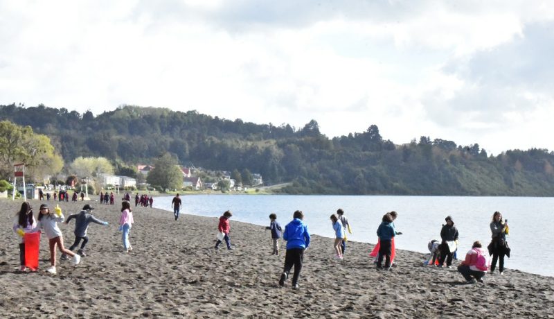 playa frutillar