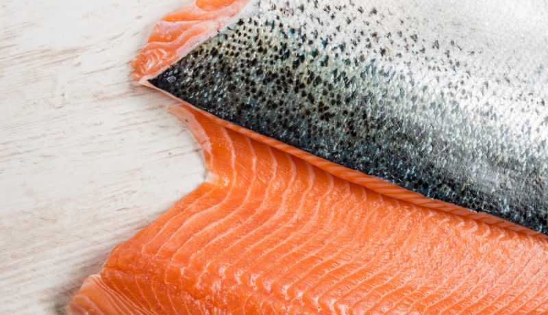 salmon-los-lagos